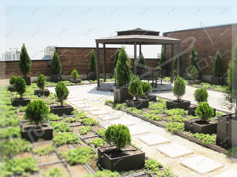 روف گاردن چکادبام