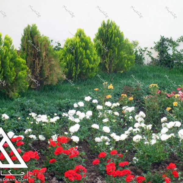 پروژه محوطه آرایی آقایان ایمان و سونیا ۱۳۹۵