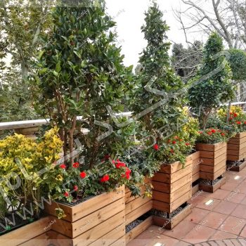 تصاویر روف گاردن ،پروژه بام سبز آقای سهیلی سال ۱۳۹۶