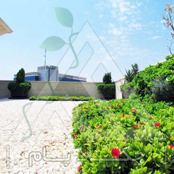 پروژه بام سبز آقای کجبافی ۱۳۹۴