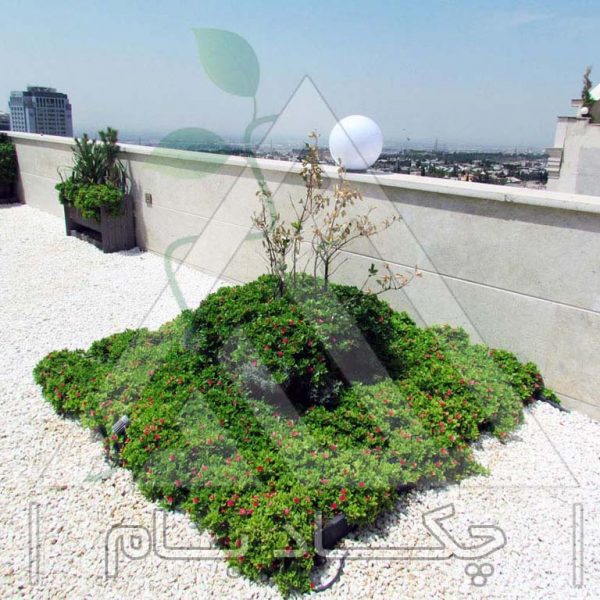 پروژه بام سبز آقای کجبافی ۱۳۹۴