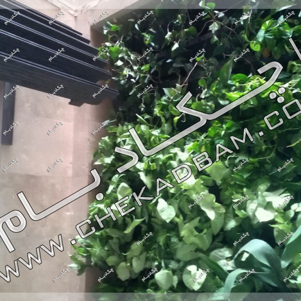 پروژه گرین وال آقای عسلی ۱۳۹۶