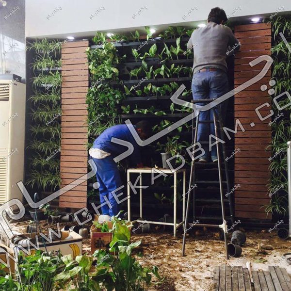 پروژه گرین وال آقای فخیمی ۱۳۹۵