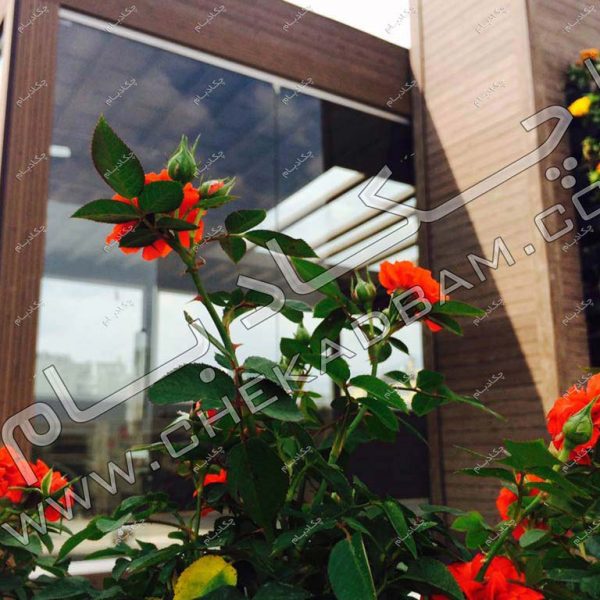 پروژه بام سبز آقای برمک ۱۳۹۴