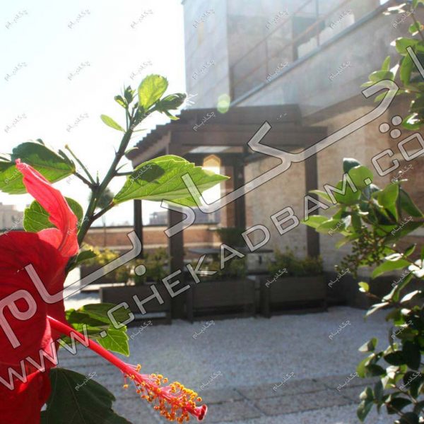 پروژه بام سبز آقای علایی ۱۳۹۴