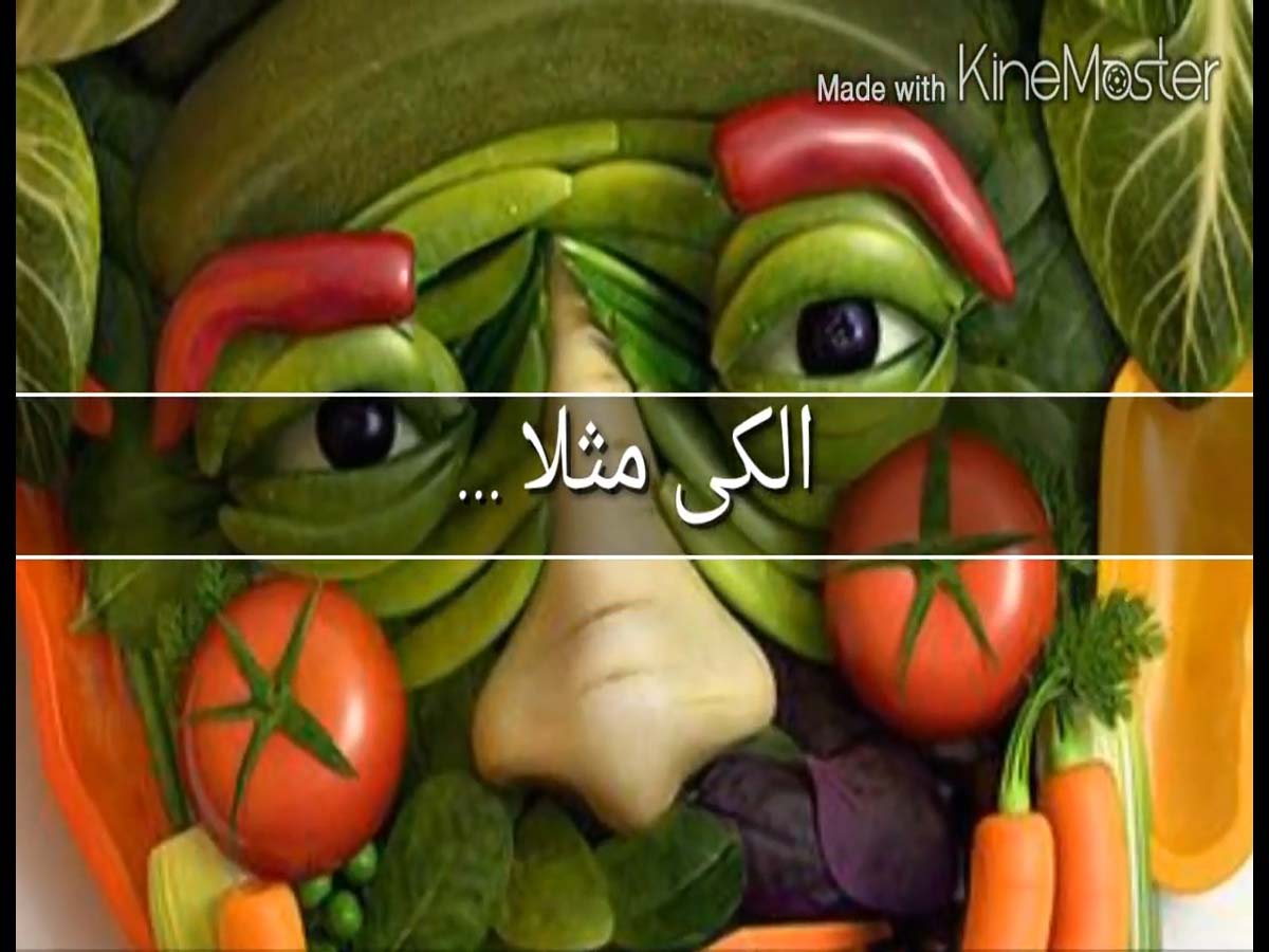 باغچه طبقاتی