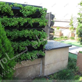 پروژه بام سبز آقای هندی سال ۱۳۹۶