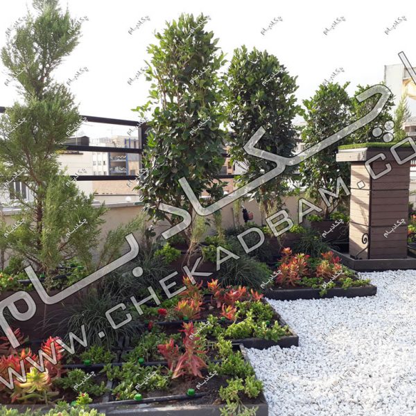 پروژه بام سبز خانم شکری سال ۱۳۹۶