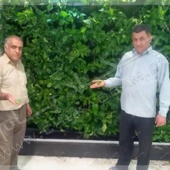 پروژه گرین وال شرکت ایران کیش سال ۱۳۹۶