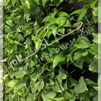 پروژه گرین وال شرکت ایران کیش سال ۱۳۹۶