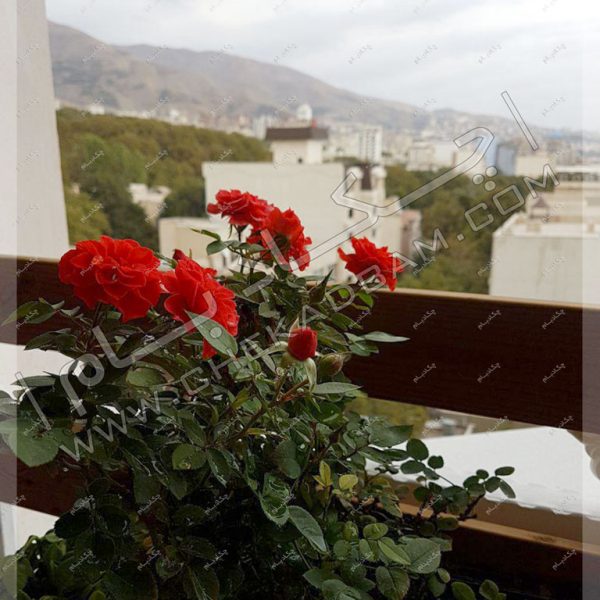 پروژه تراس سبز آقای کیان سال 1396