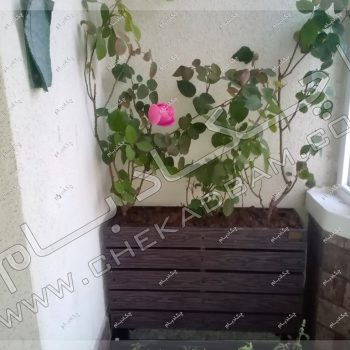پروژه تراس سبز خانم اتابکی 1396
