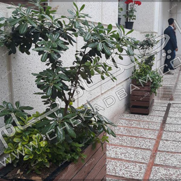 پروژه-های-محوطه-آرایی