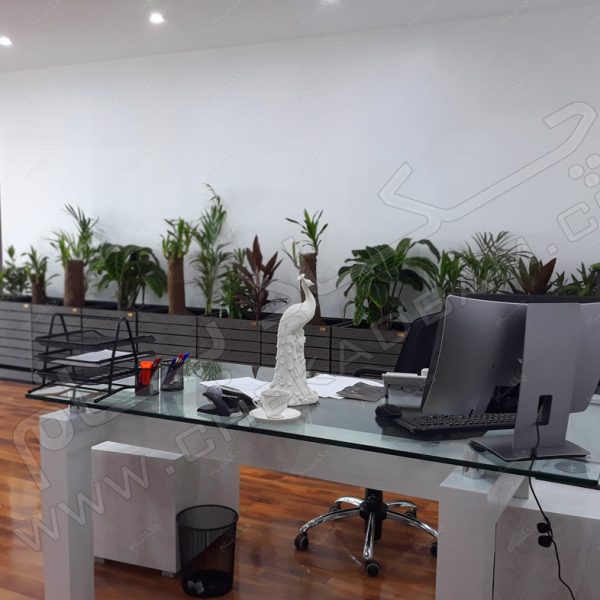 پروژه معماری داخلی سبز