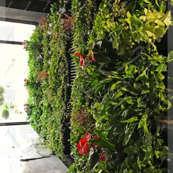 دیوار سبز داخلی - پروژه گرین وال(دیوار سبز) شرکت علی بابا