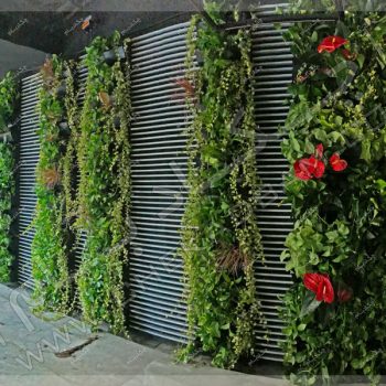 دیوار سبز داخلی - پروژه گرین وال(دیوار سبز) شرکت علی بابا