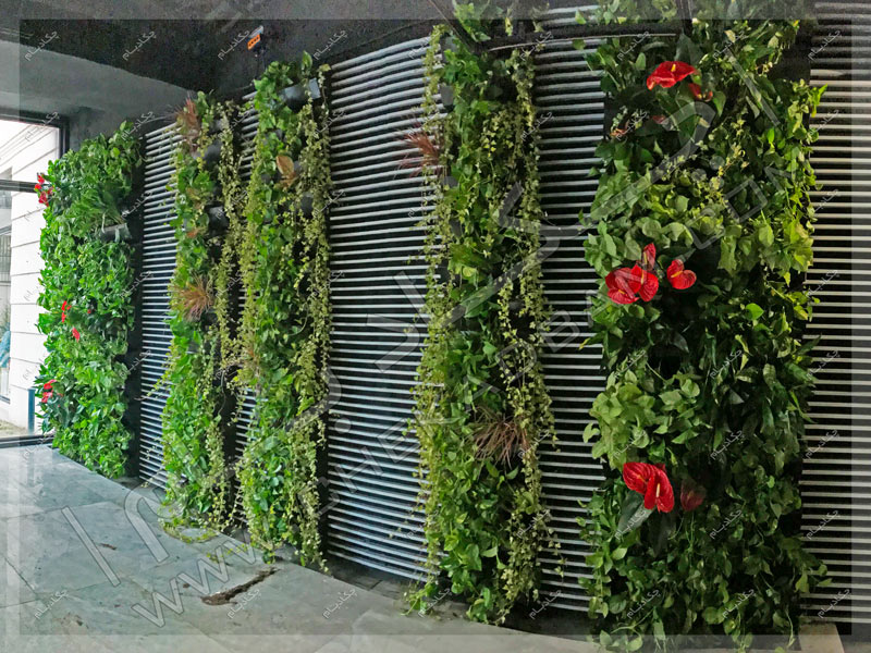 دیوار سبز داخلی - پروژه گرین وال(دیوار سبز) شرکت علی بابا