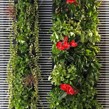 دیوار سبز داخلی - پروژه گرین وال(دیوار سبز) شرکت علی بابا