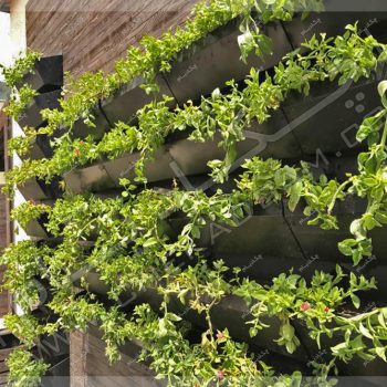 پروژه گرین وال (دیوار سبز) جناب آیینه چی