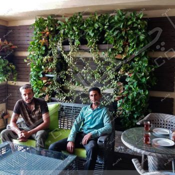 پروژه گرین وال (دیوار سبز) جناب شاهی دخت