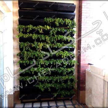 پروژه گرین وال (دیوار سبز) جناب مغربی