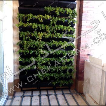 پروژه گرین وال (دیوار سبز) جناب مغربی