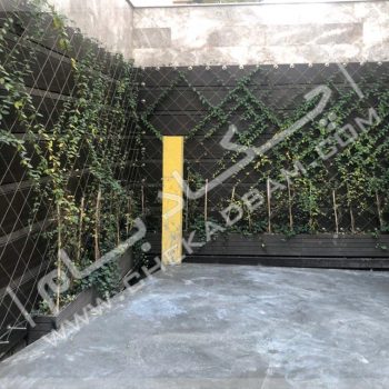 دیوار سبز کابلی