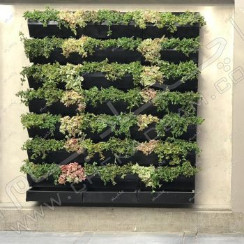دیوار سبز دیباجی