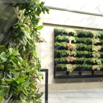 دیوار سبز دیباجی