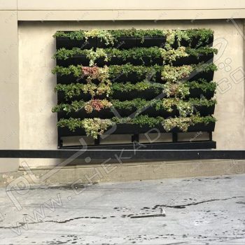 دیوار سبز دیباجی