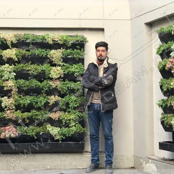 دیوار سبز دیباجی
