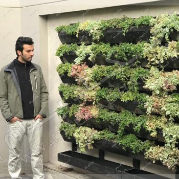 دیوار سبز دیباجی