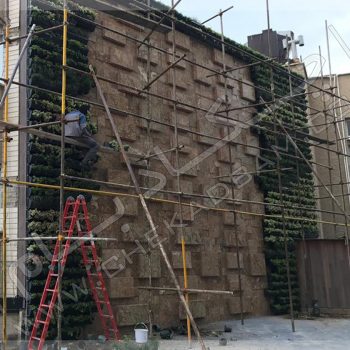 دیوار سبز ولنجک