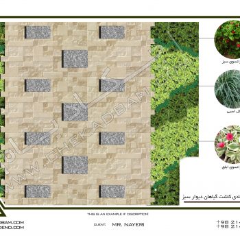 دیوار سبز ولنجک