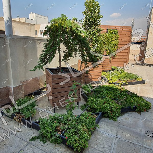پروژه روف گاردن مرزداران