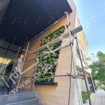 دیوار سبز ساران - چکادبام