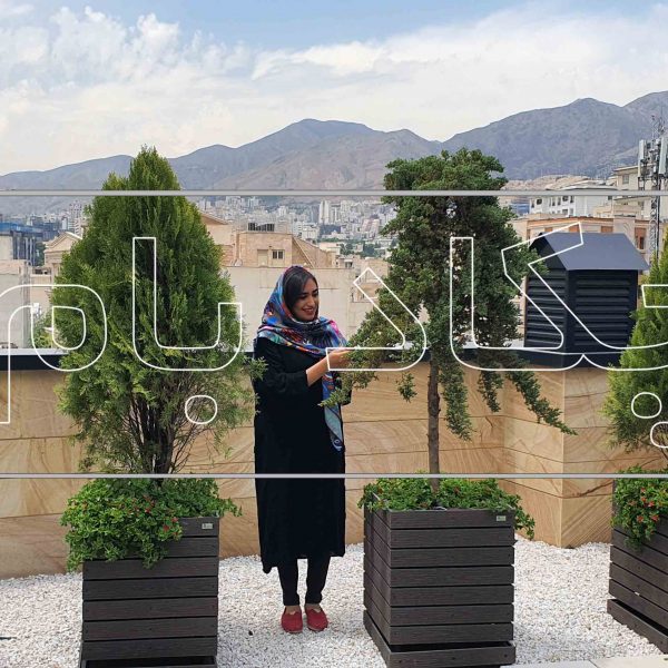 روف گاردن قلهک