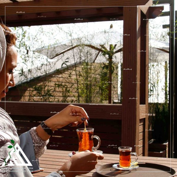 روف گاردن شرکت پاگانی